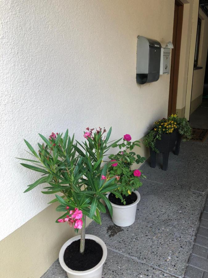 Ferienwohnung Am Gaessle Ettenheim Exterior foto